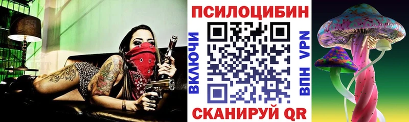Псилоцибиновые грибы Cubensis  Аргун 